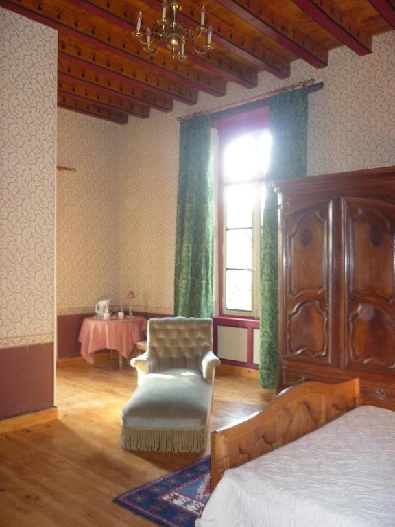 Chateau De Vallegue Номер фото